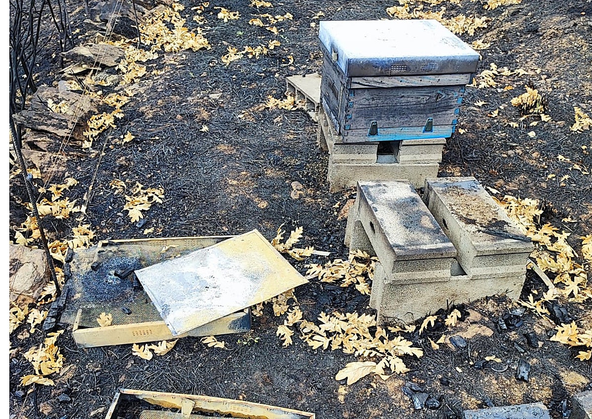 Imagen secundaria 1 - Una cabaña en el Parque de Redes (Caso), una colmena en Villarín de Limés y bolas de silo en Fonceca (Cangas del Narcea), totalmente calcinadas por el fuego.