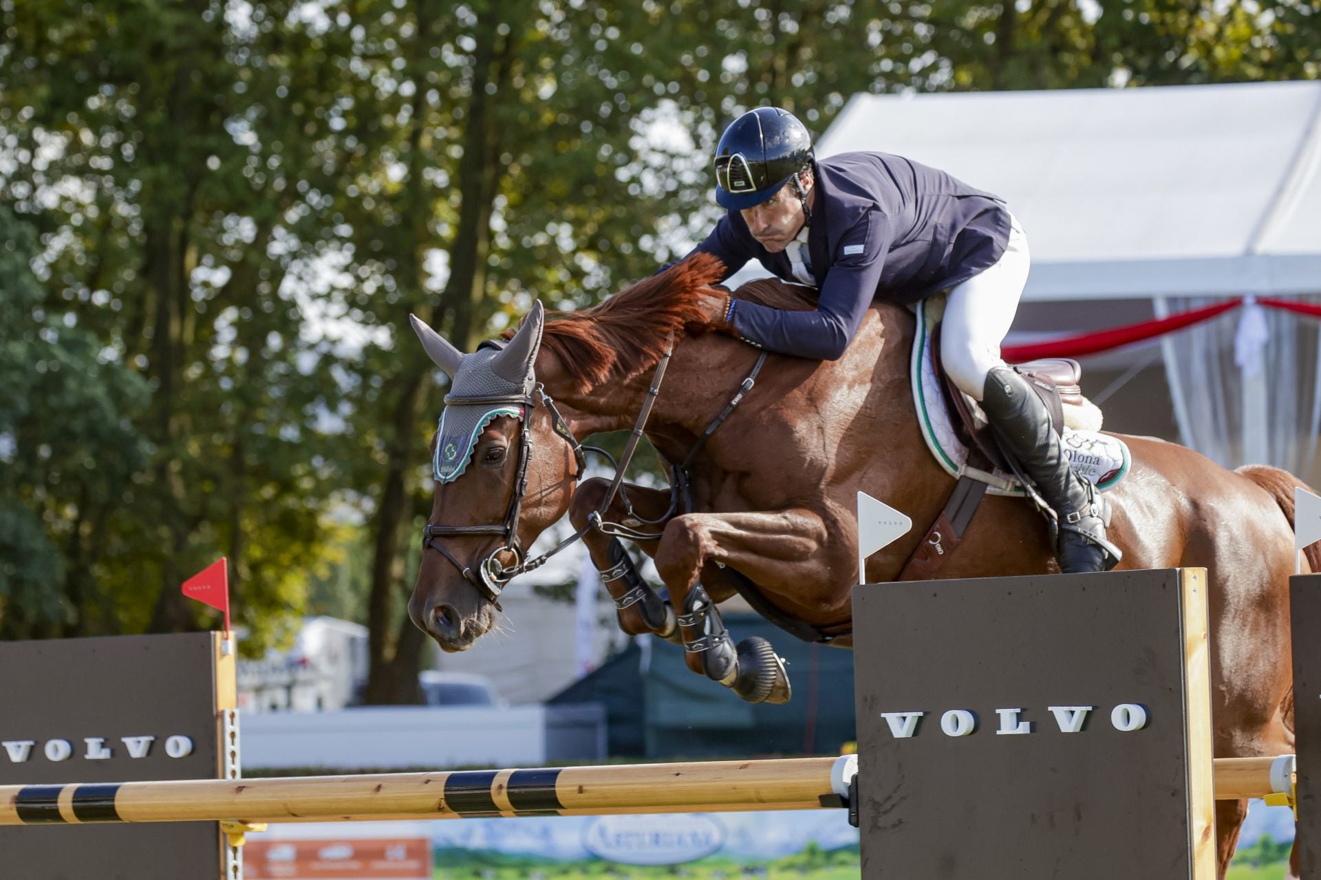 Las mejores fotos de la tercera jornada del Hípico de Gijón