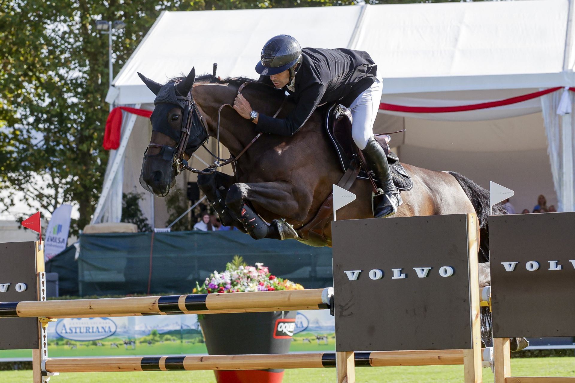 Las mejores fotos de la tercera jornada del Hípico de Gijón