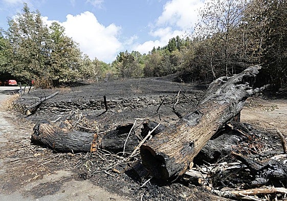 Zona arrasada por el fuego en Ibias.