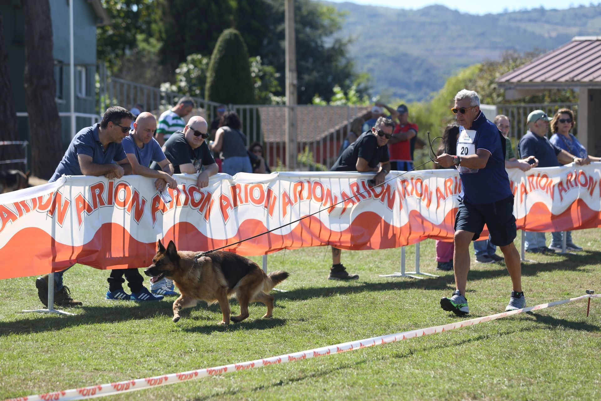 Los perros pastor alemán brillan en Llanera