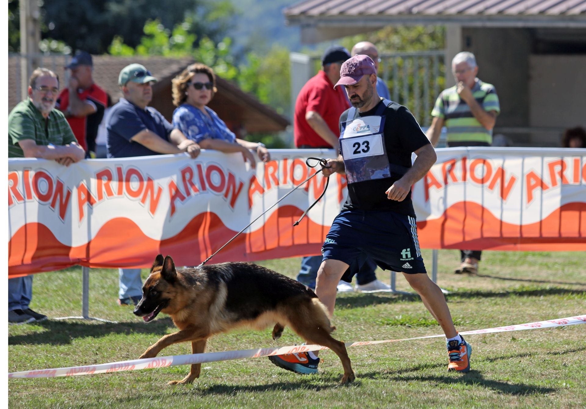 Los perros pastor alemán brillan en Llanera