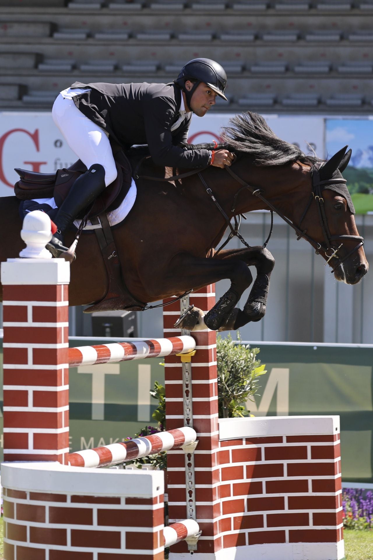 Llenazo en el hípico este domingo