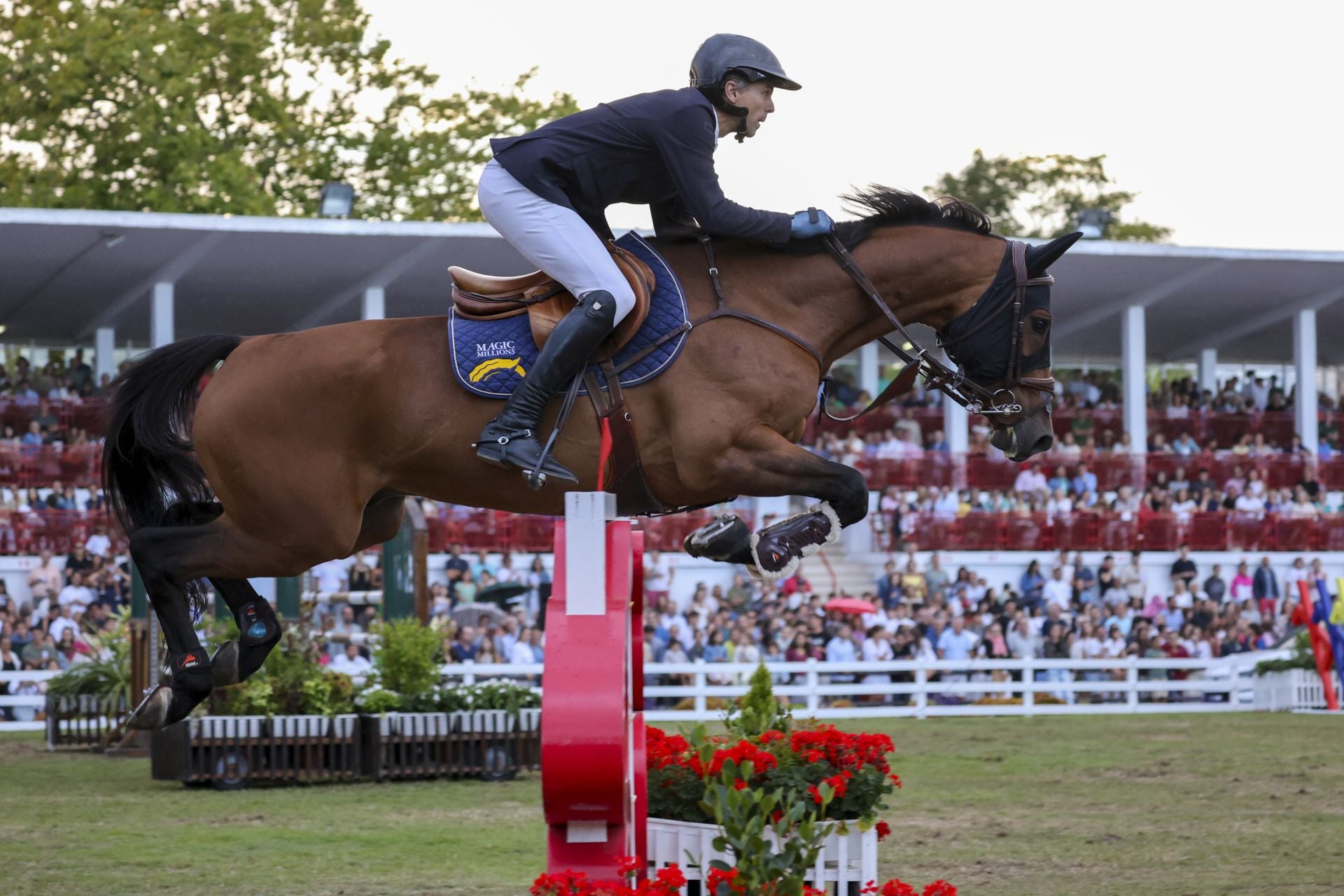 Llenazo en el hípico este domingo
