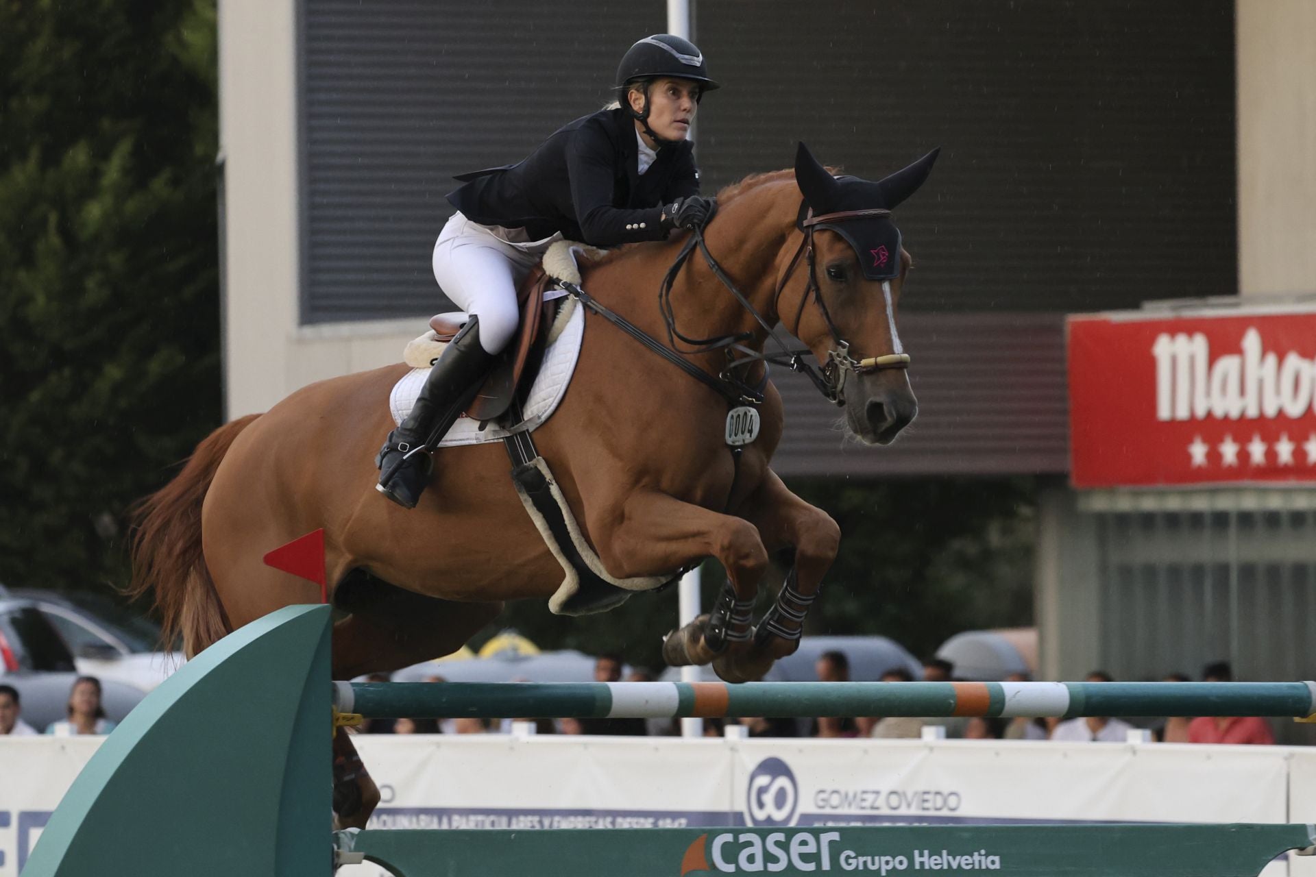 Llenazo en el hípico este domingo