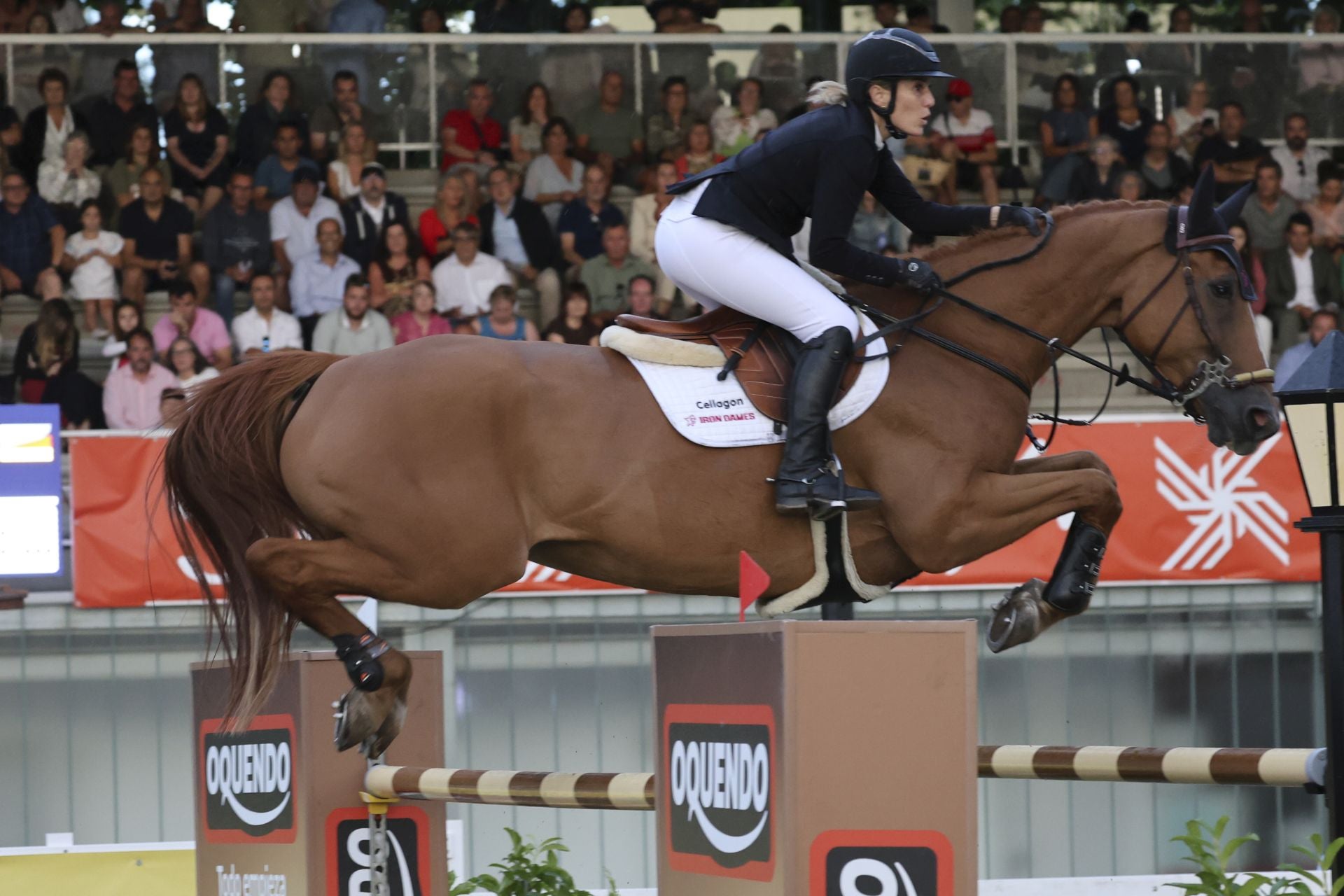 Llenazo en el hípico este domingo