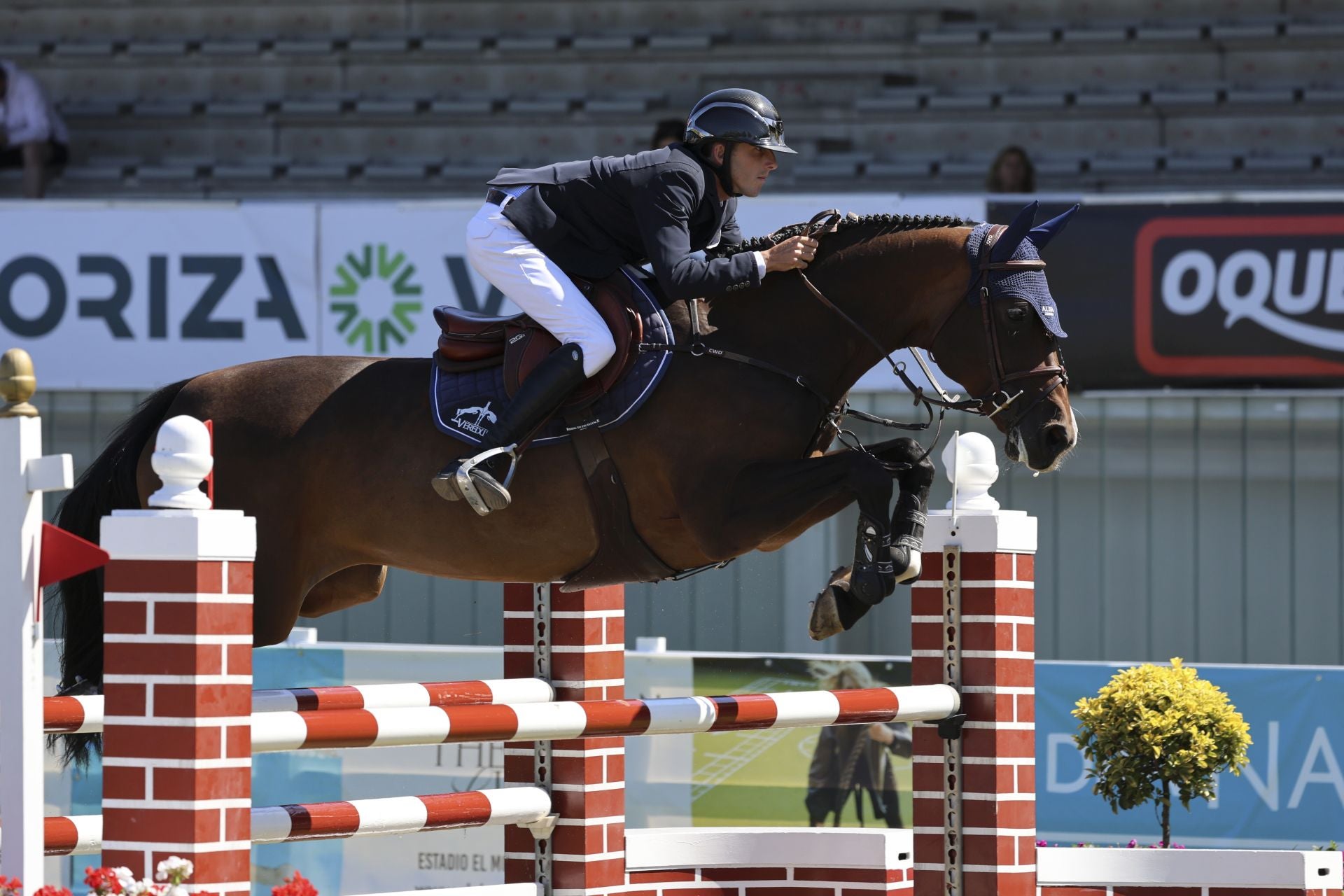 Llenazo en el hípico este domingo