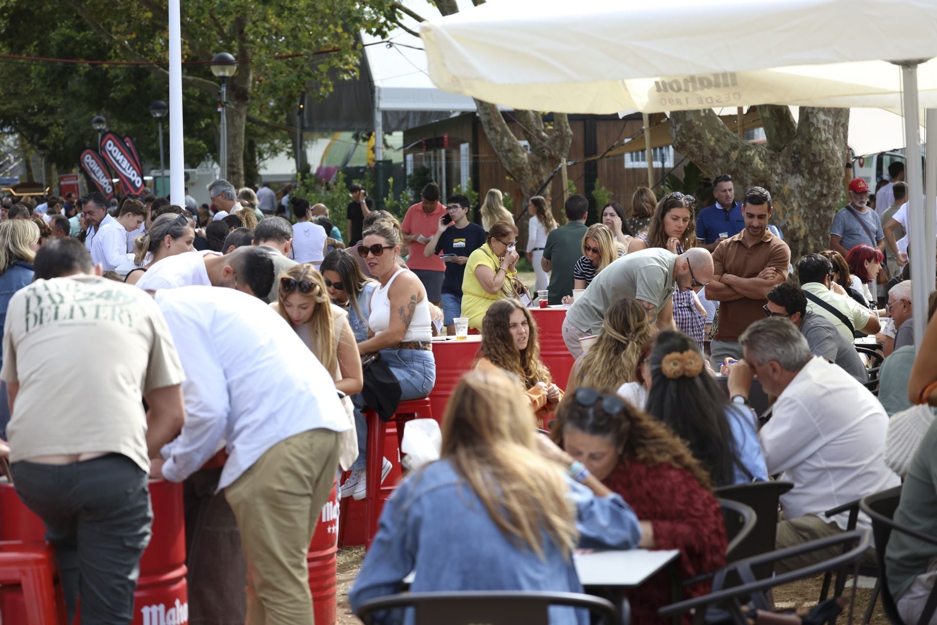 Llenazo en el hípico este domingo