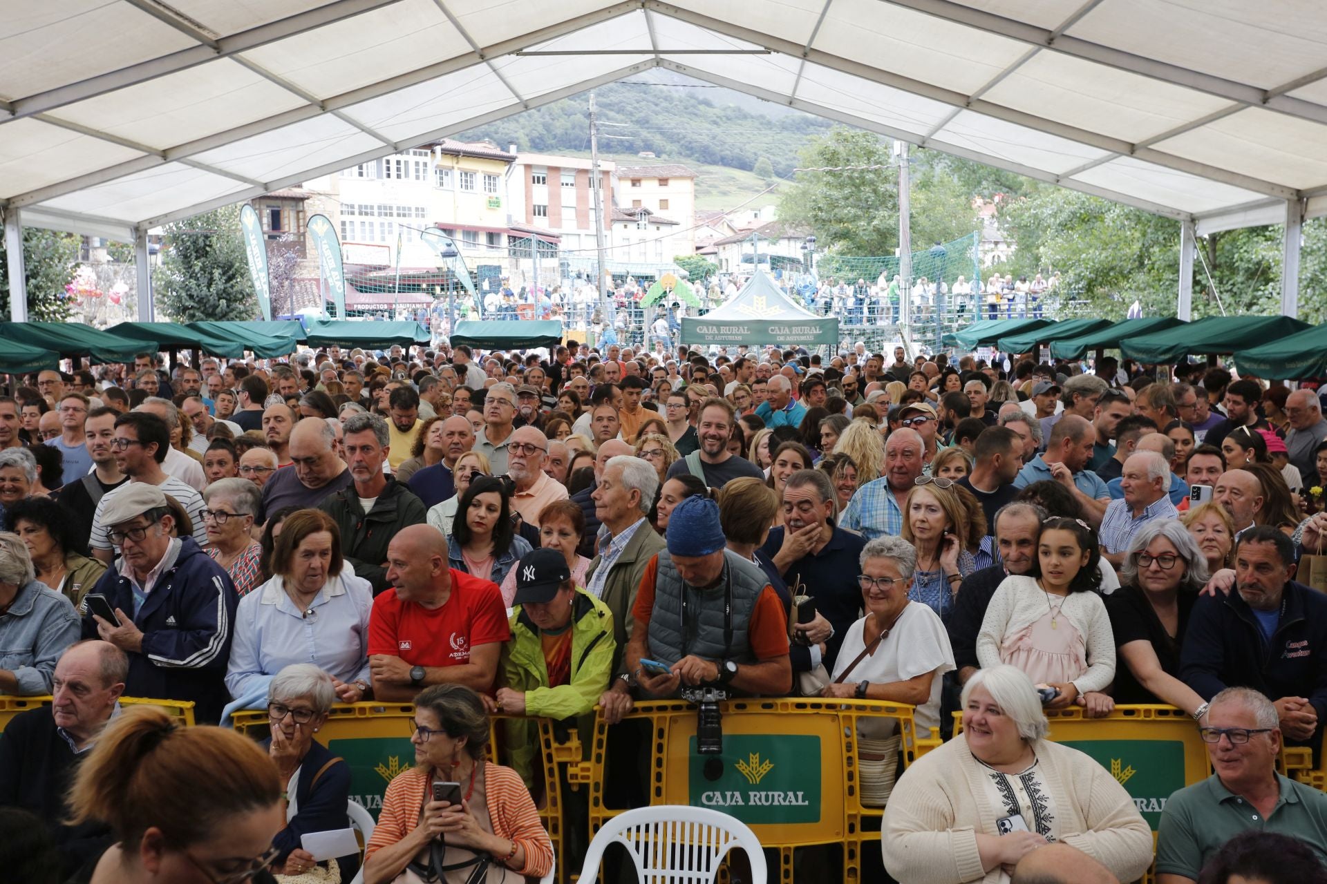 Este es el mejor queso Cabrales y vale 37.000 euros