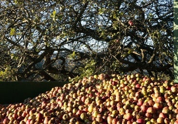 ¿Cuánto sabes de Asturias?