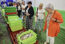 Una de las visitas a la rula de Avilés este verano.