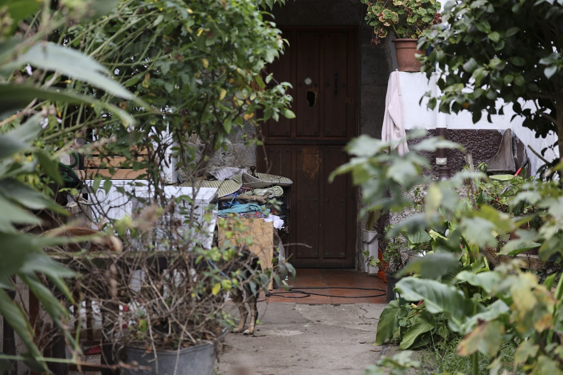 Una muerte tras una paliza en Ribadesella: las imágenes del suceso