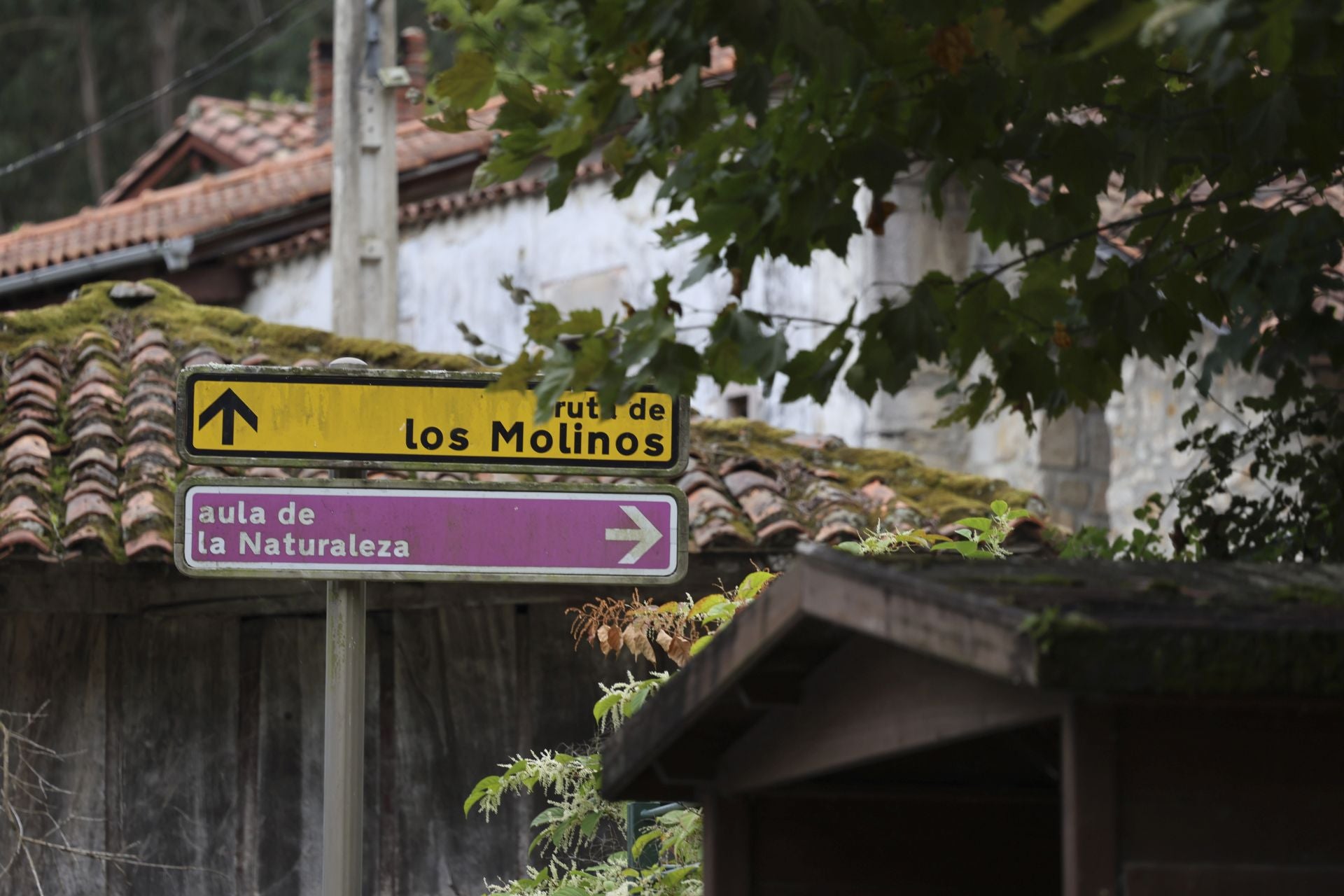 Una muerte tras una paliza en Ribadesella: las imágenes del suceso