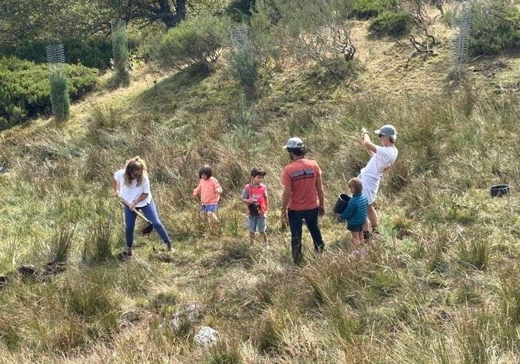 Los clubes deportivos plantan pinos en la estación de Pajares para disfrutar todo el año