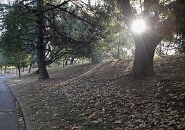 Vista del parque de Moreda, en Gijón, este martes, cubierto de hojas secas, que anuncian la llegada prematura del otoño, que oficialmente comienza el próximo 21 de septiembre.