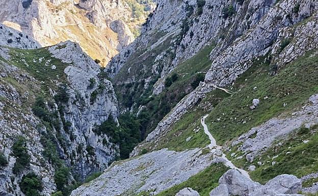Sendero por la canal del Texu.