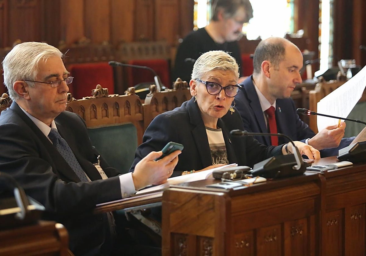 Concepción Saavedra, durante una de sus comparecencias en la comisión de salud.