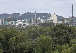 Imagen general del emplazamiento de DuPont en el valle de Tamón.