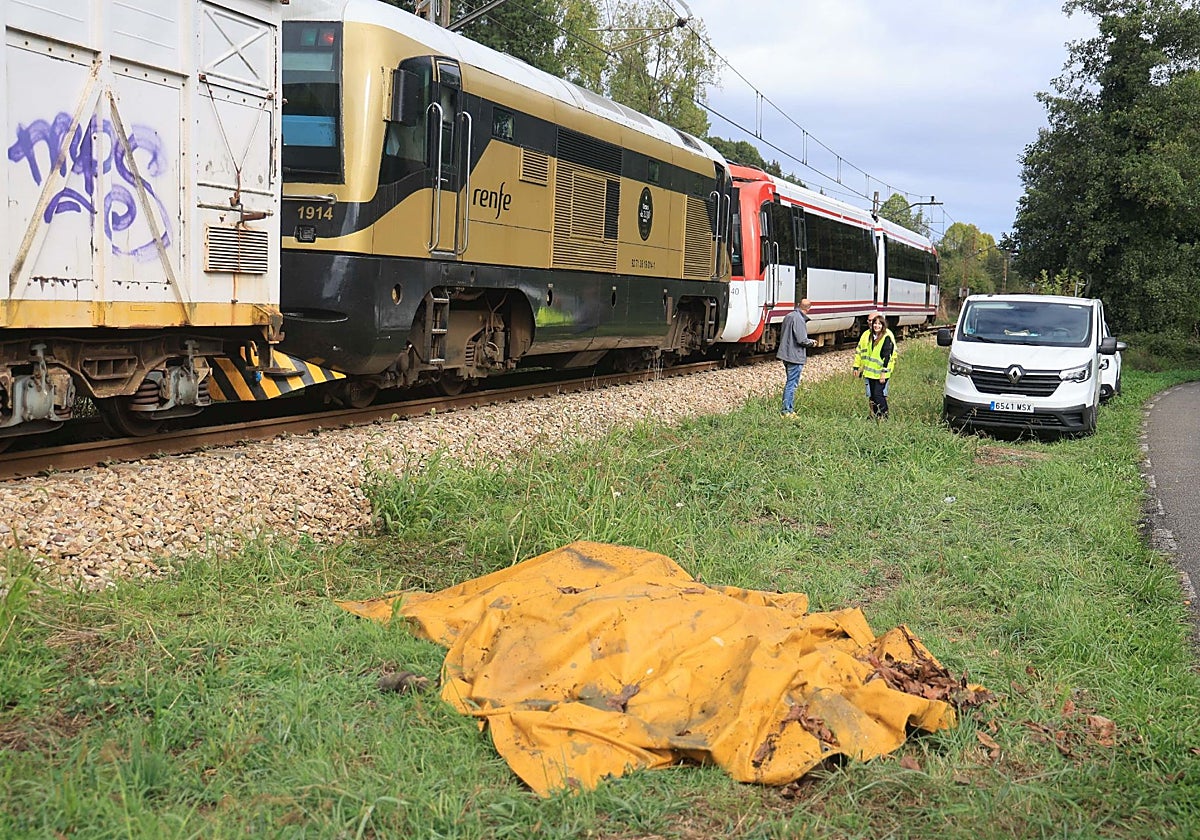 El cadáver de la vaca, tapado, junto al tren que la atropelló en Fontaciera.