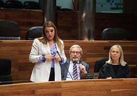 Carolina López, durante su intervención en la Junta General esta mañana.
