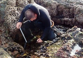 Un percebero en plena faena en un acantilado de Tapia de Casariego.