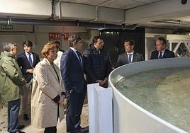 Carmen Moriyón, Roberto Centeno, Adrián Barbón, Jaime León y Marcelino Marcos, este jueves, en la planta de Sea Eight en La Figar (El Musel).