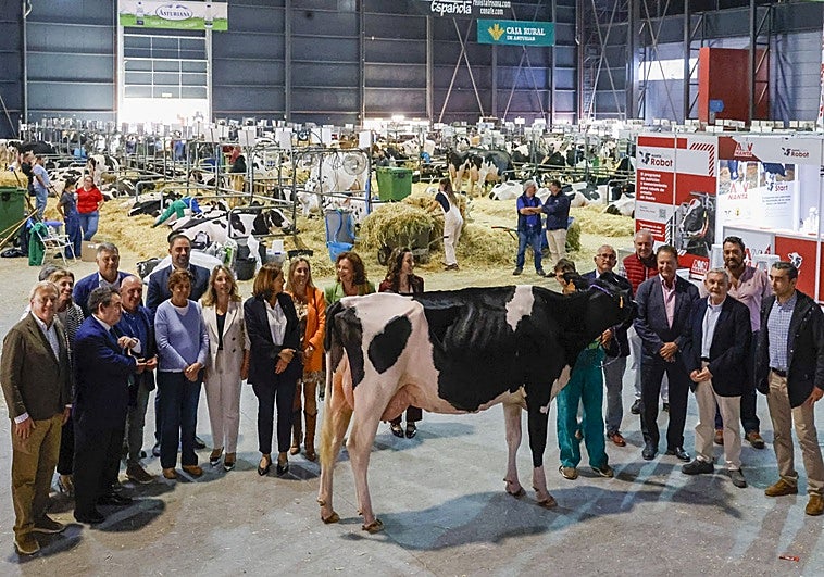 Autoridades, representantes de la Cámara de Comercio de Gijón y expositores junto a una vaca frisona en el pabellón central del recinto Luis Adaro.