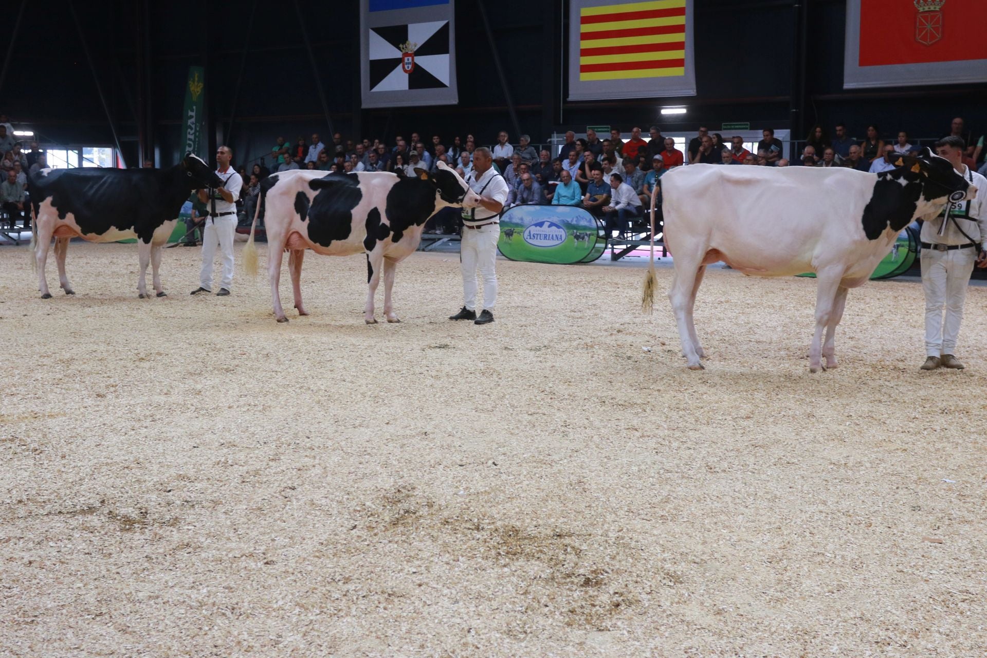Agropec, desde dentro: así es la feria del sector agrícola, pesquero, ganadero y forestal