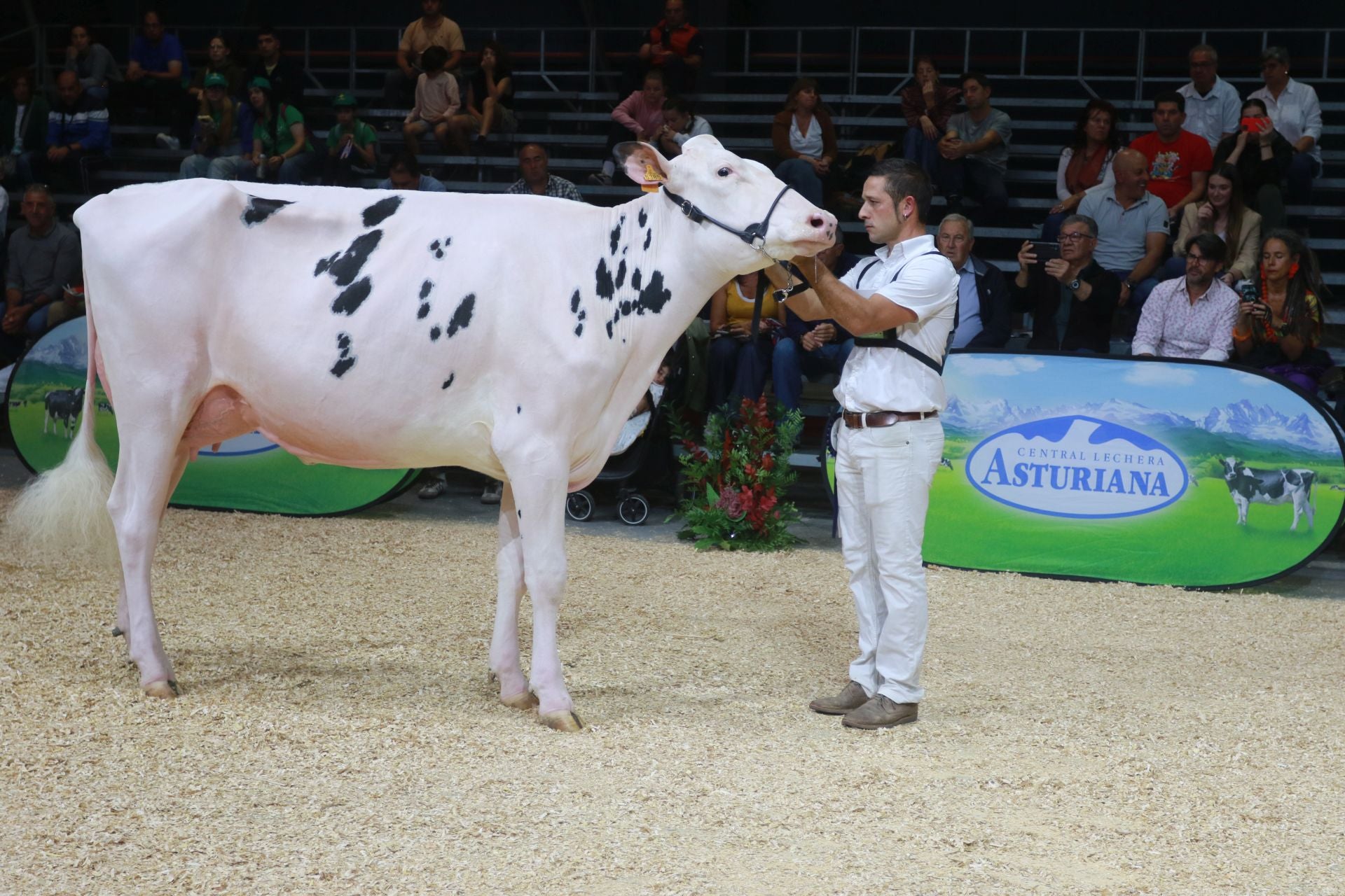 Agropec, desde dentro: así es la feria del sector agrícola, pesquero, ganadero y forestal