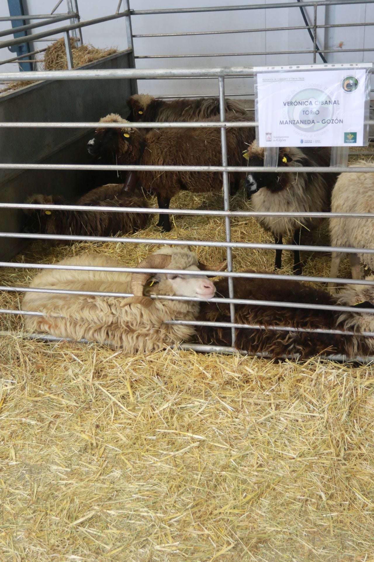 Agropec, desde dentro: así es la feria del sector agrícola, pesquero, ganadero y forestal