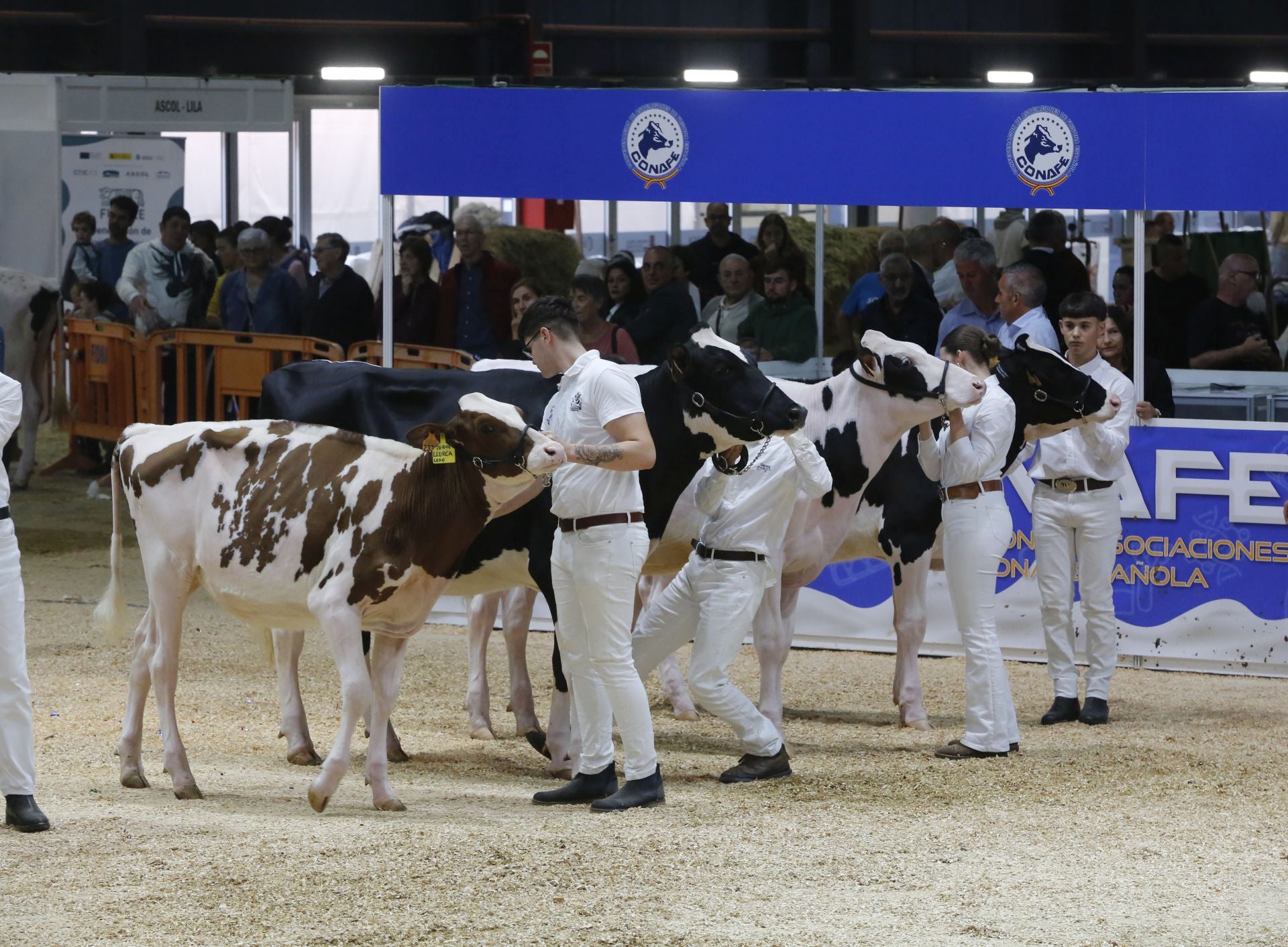 Agropec se despide por todo lo alto