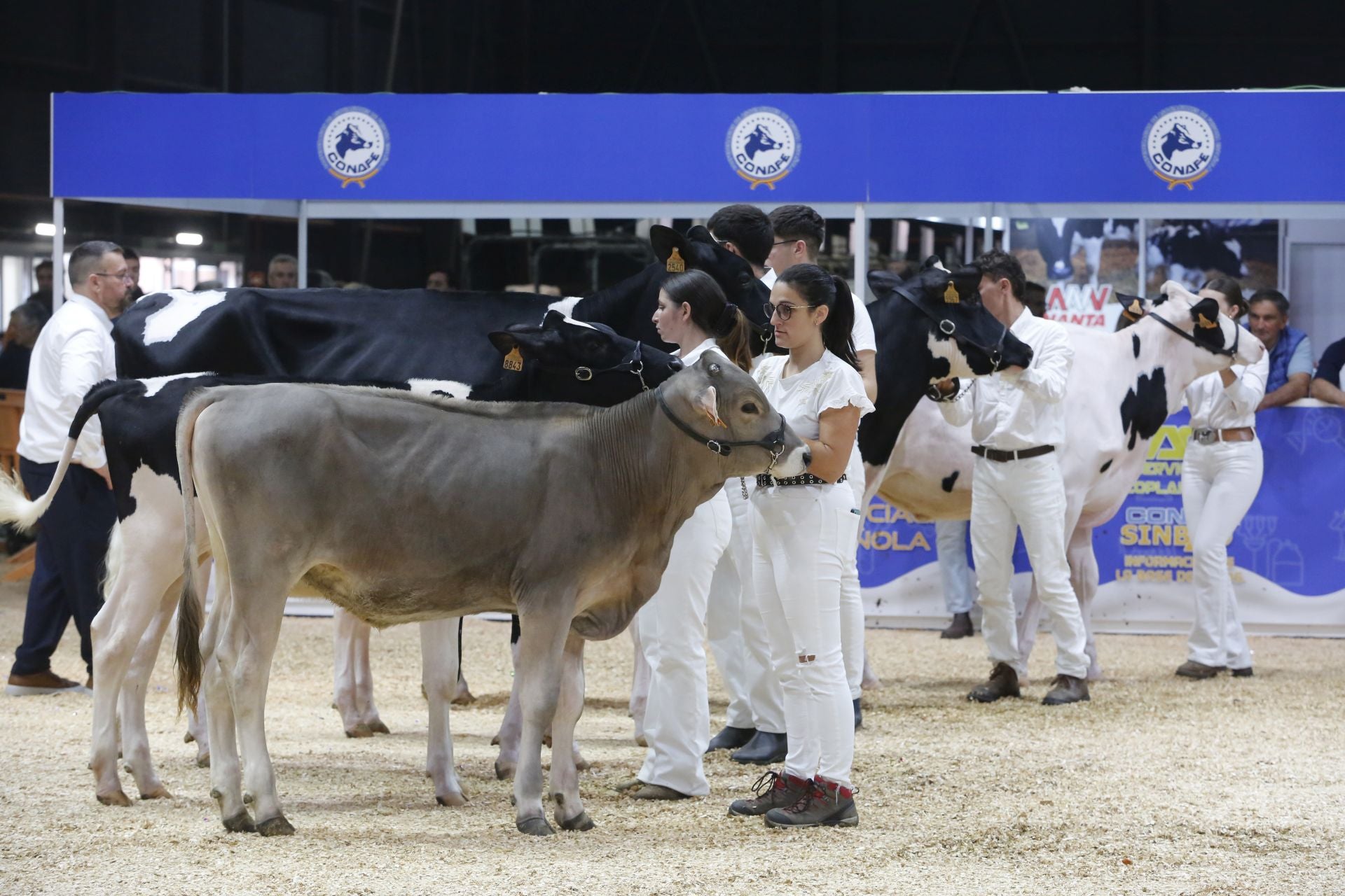 Agropec se despide por todo lo alto