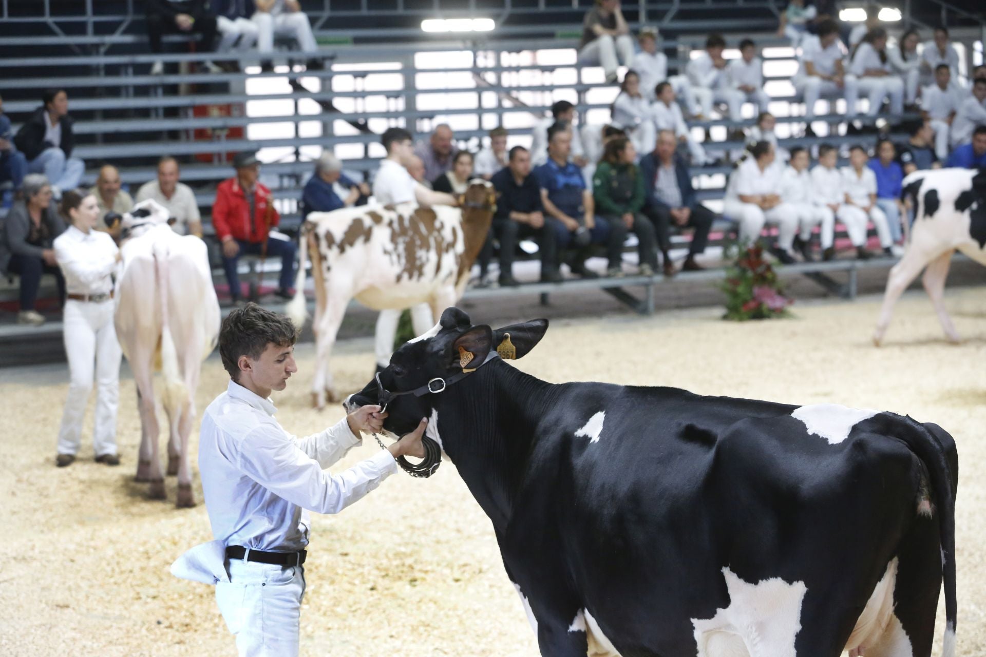 Agropec se despide por todo lo alto