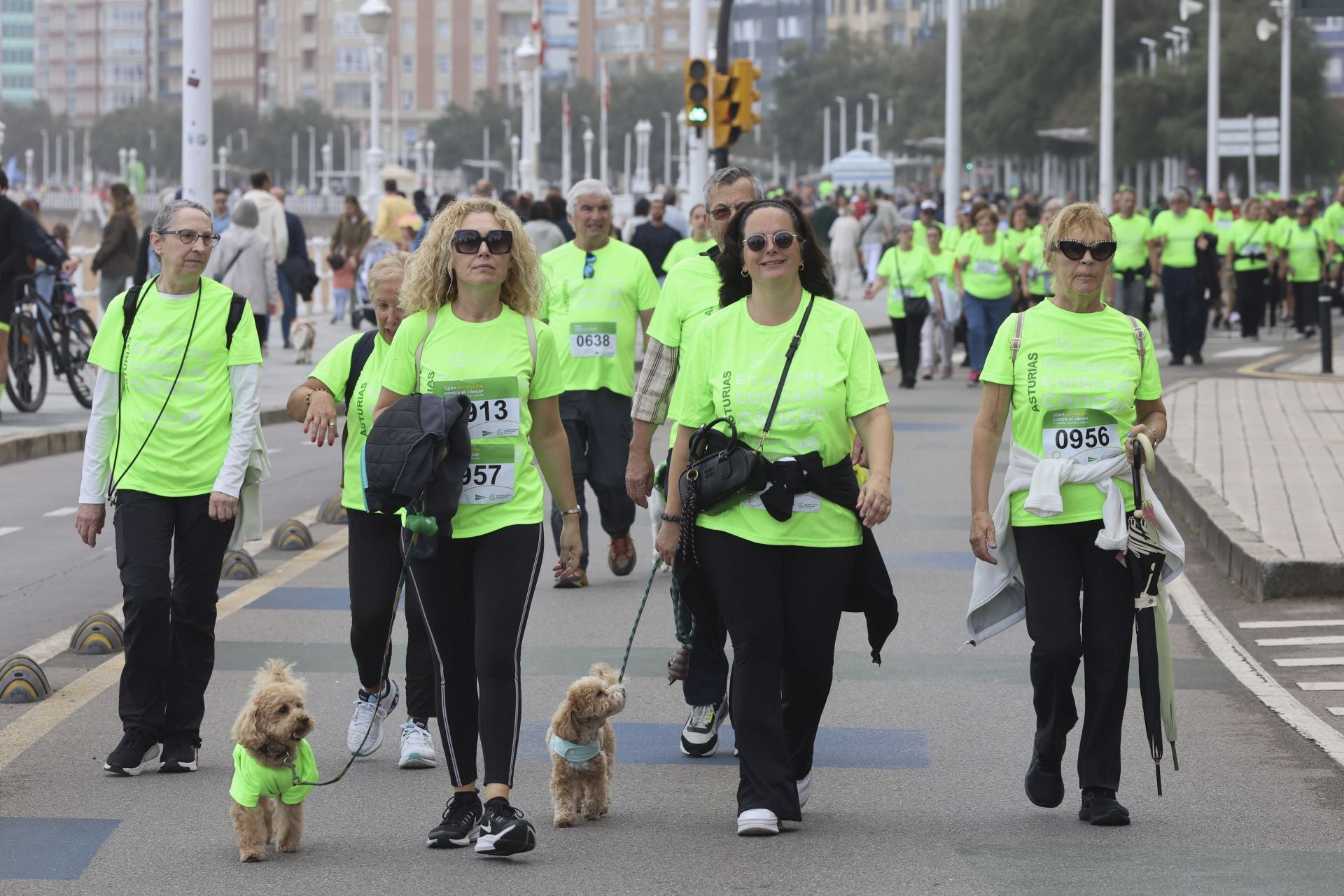 Un marea verde de 2.000 corazones solidarios marcha en Gijón contra el cáncer
