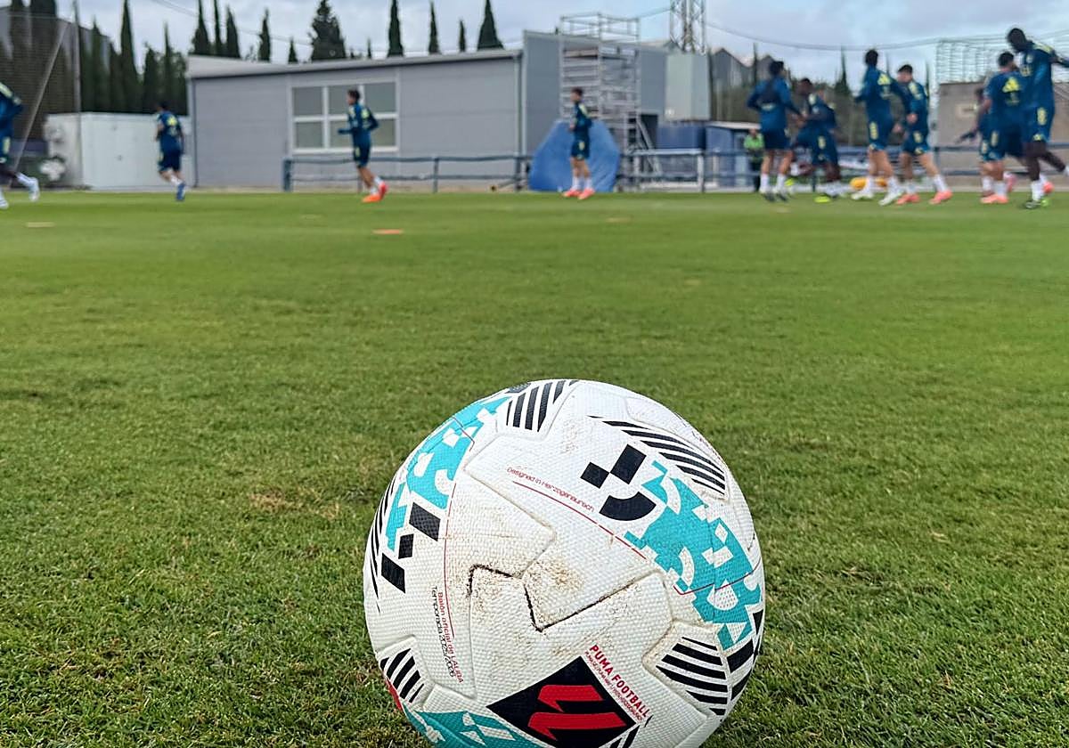 Trabajo.Paunovic dirigió una sesión ayer en la Ciudad Deportiva del Levante.