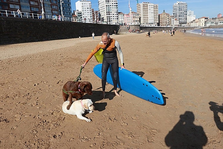 Koa y Freya, los labradores de Juan Manuel Santiago, aprovechan la temporada perruna para surfear con su dueño.