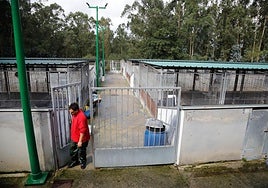 Instalaciones del albergue de animales municipal, en la parroquia de Serín.