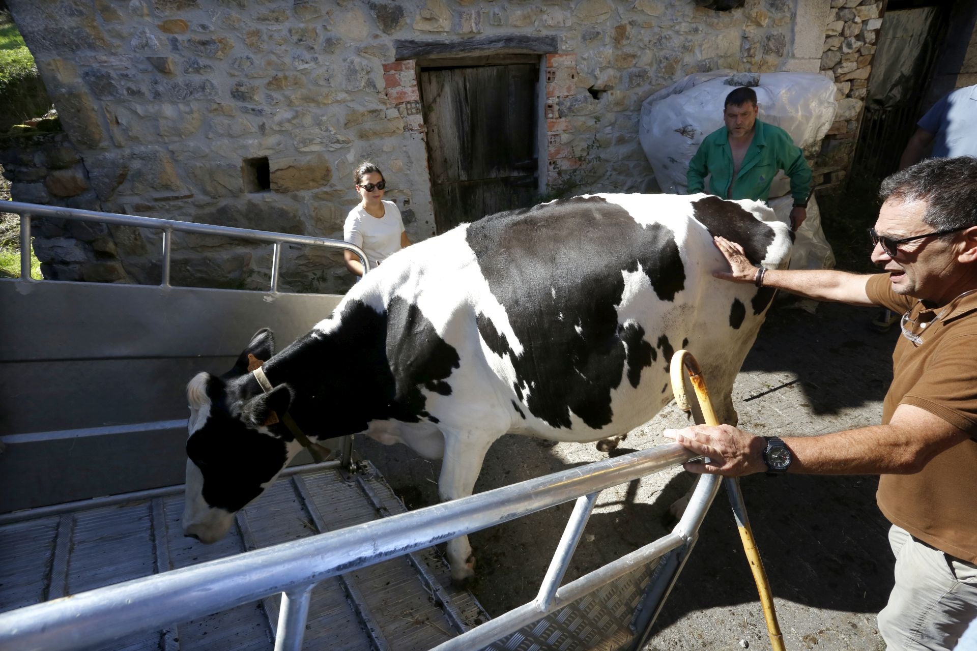 Requisan los animales del ganadero asesinado en Ribadesella, desatendidos por la viuda