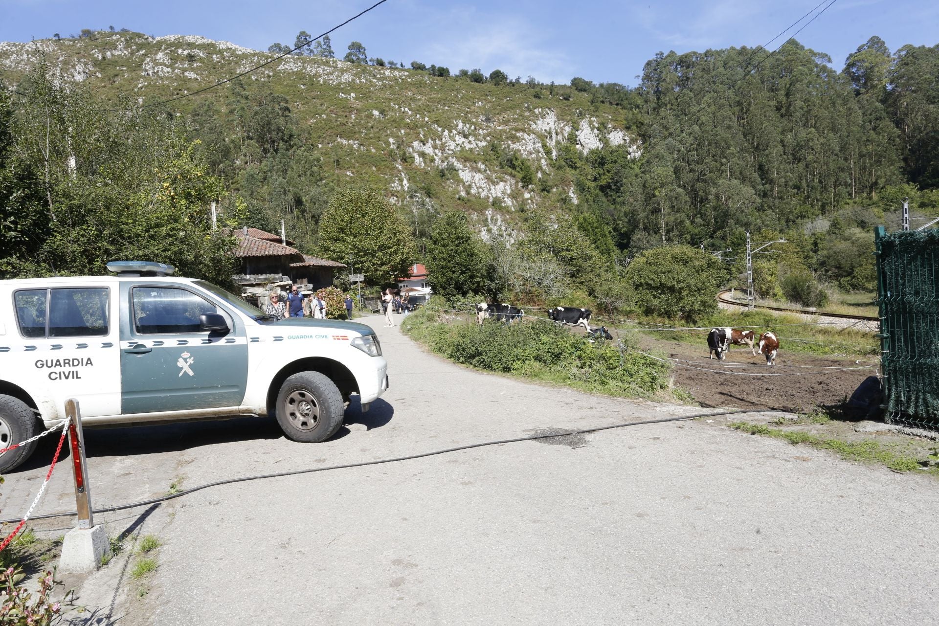 Requisan los animales del ganadero asesinado en Ribadesella, desatendidos por la viuda