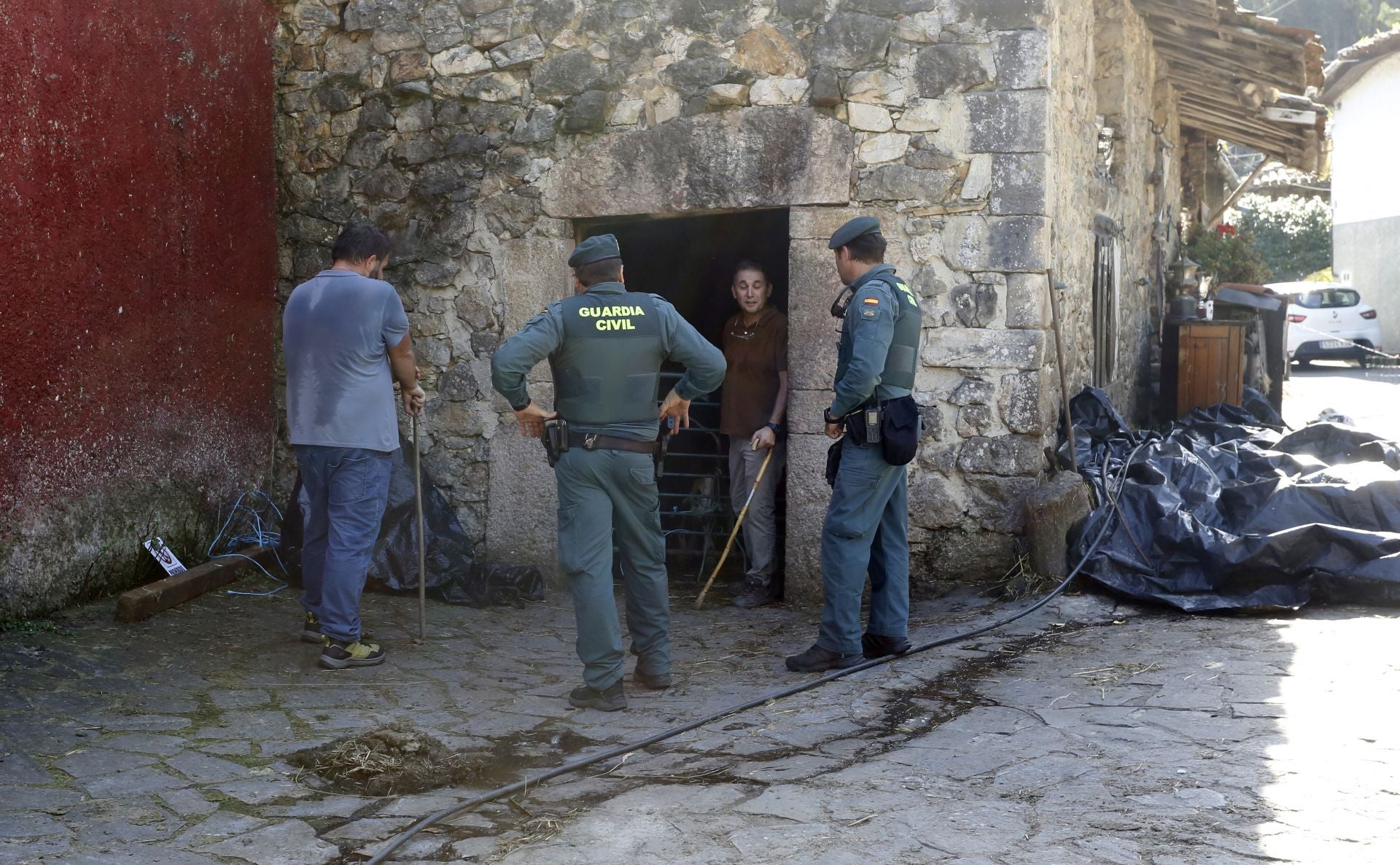 Requisan los animales del ganadero asesinado en Ribadesella, desatendidos por la viuda