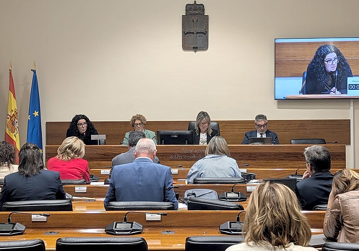 Un instante de la comisión en la Junta General.