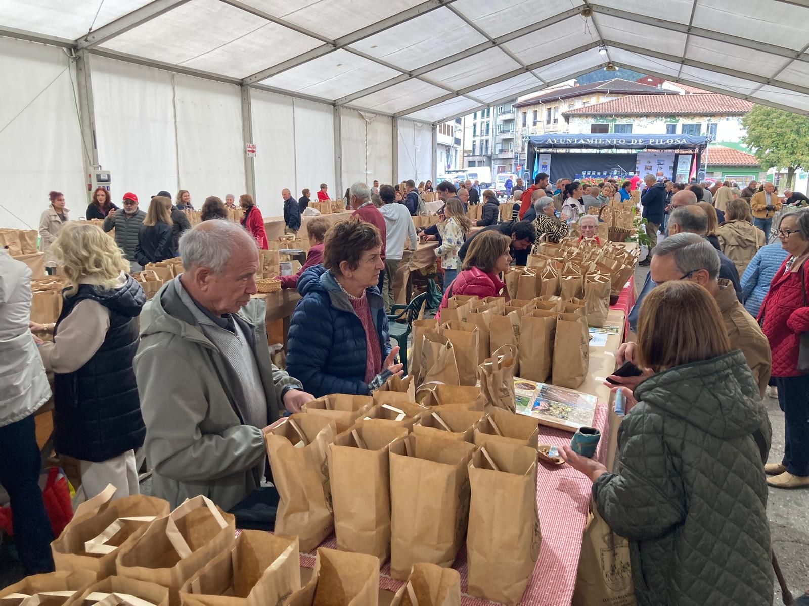 El Festival de la Avellana de Piloña, en imágenes