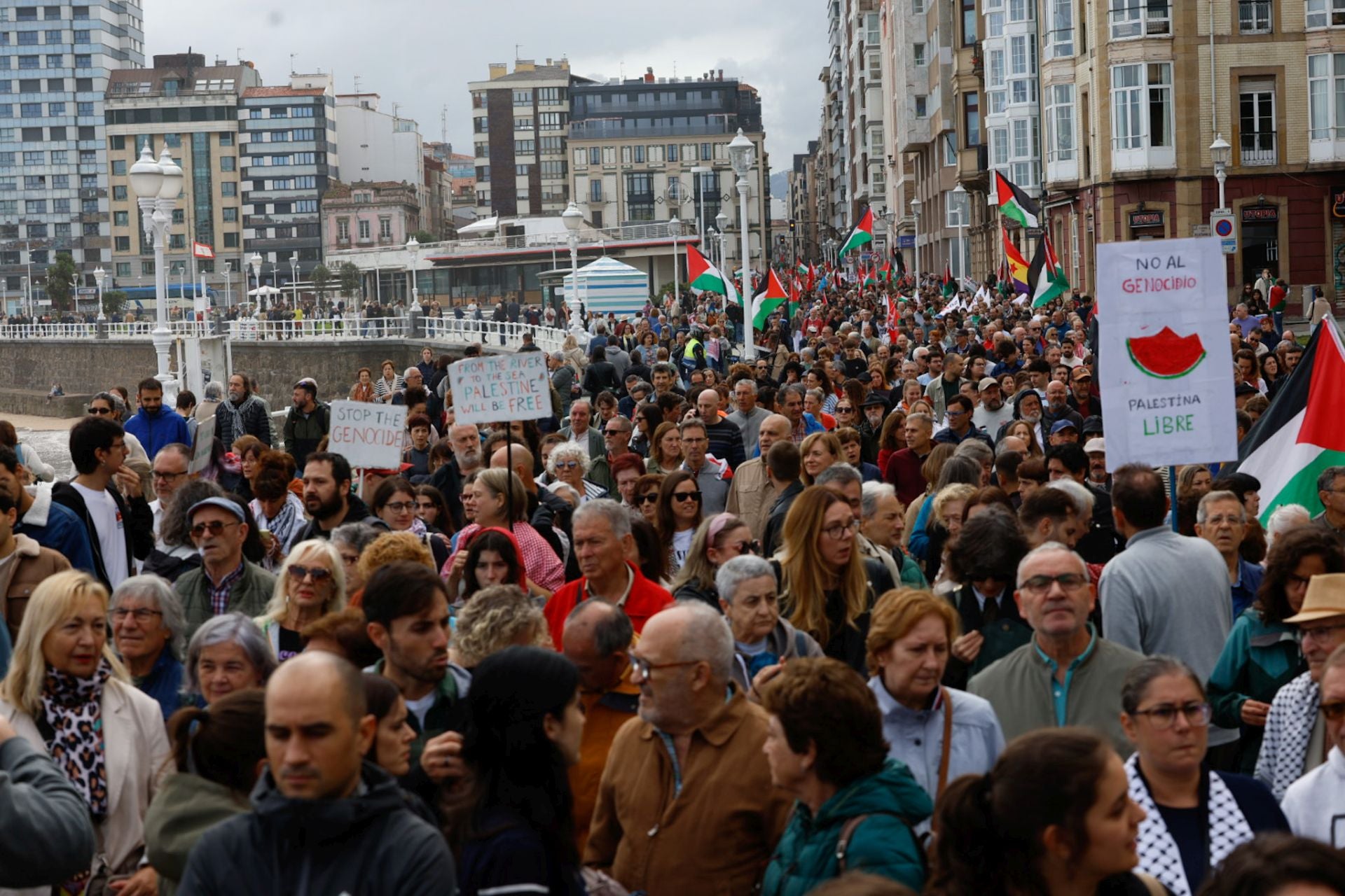 Las imágenes que deja la multitudinaria manifestación propalestina en Gijón