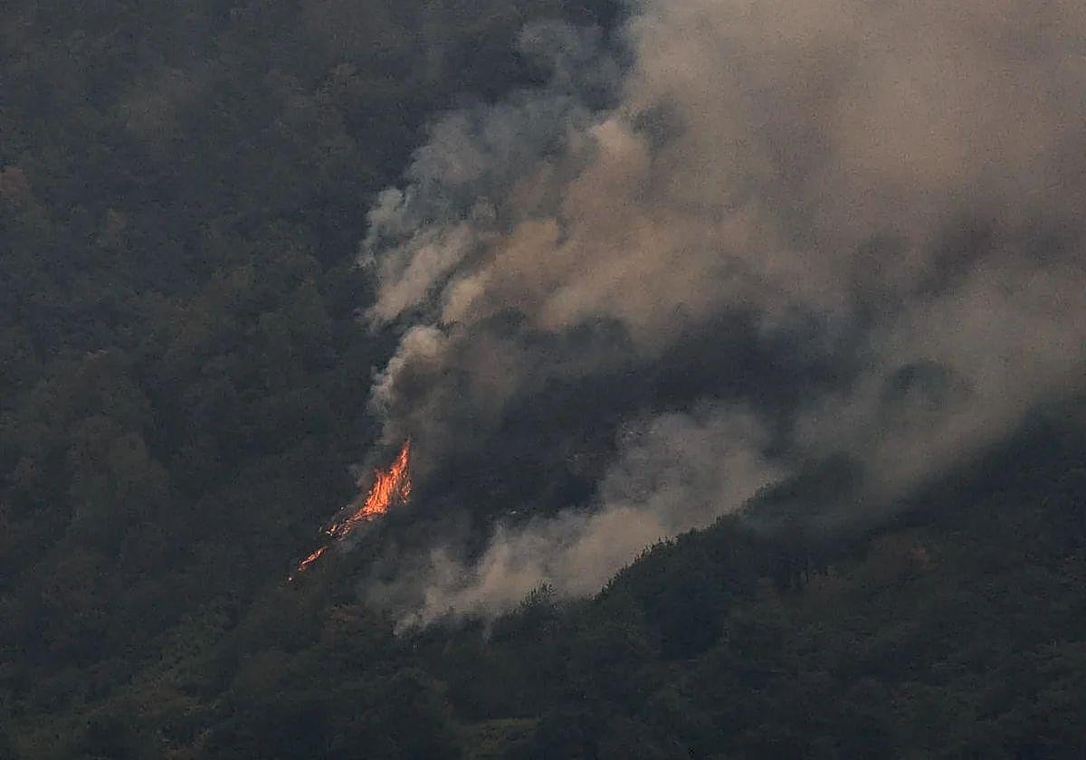 Uno de los incendios que arrasaron este verano los montes asturianos.