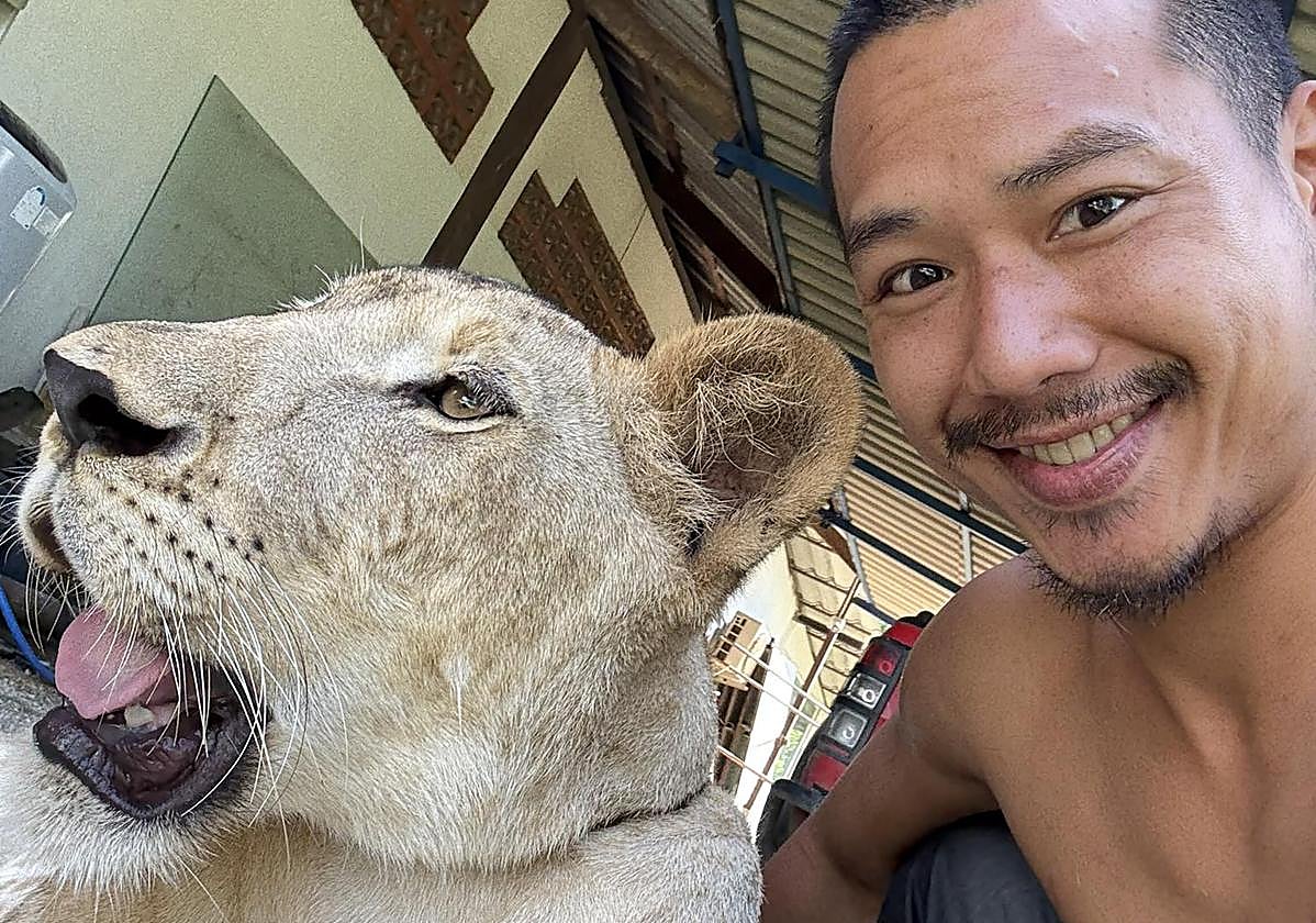 Parinya Parkpoom junto a su leona.