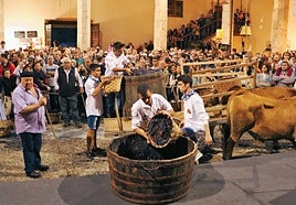 Preparativos para representar la pisada tradicional de la uva en una pasada edición de la Fiesta de la Vendimia de Cangas del Narcea.