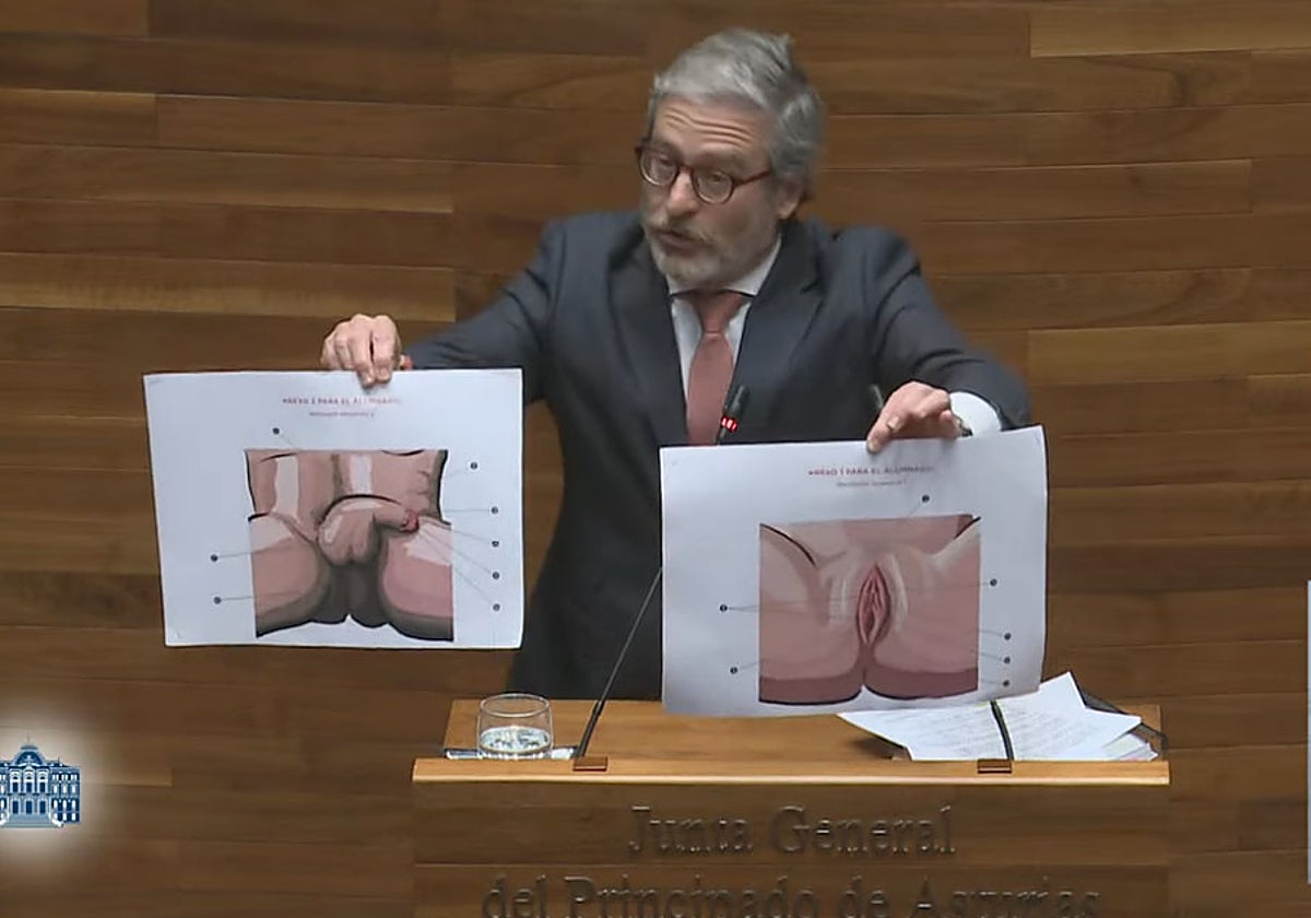 Jové, mostrando las ilustraciones de los genitales, durante su intervención en el Pleno.