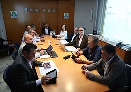 El consejero de Medio Ambiente y presidente de Cogersa, Alejandro Calvo, ayer al frente del consejo de administración de la entidad.