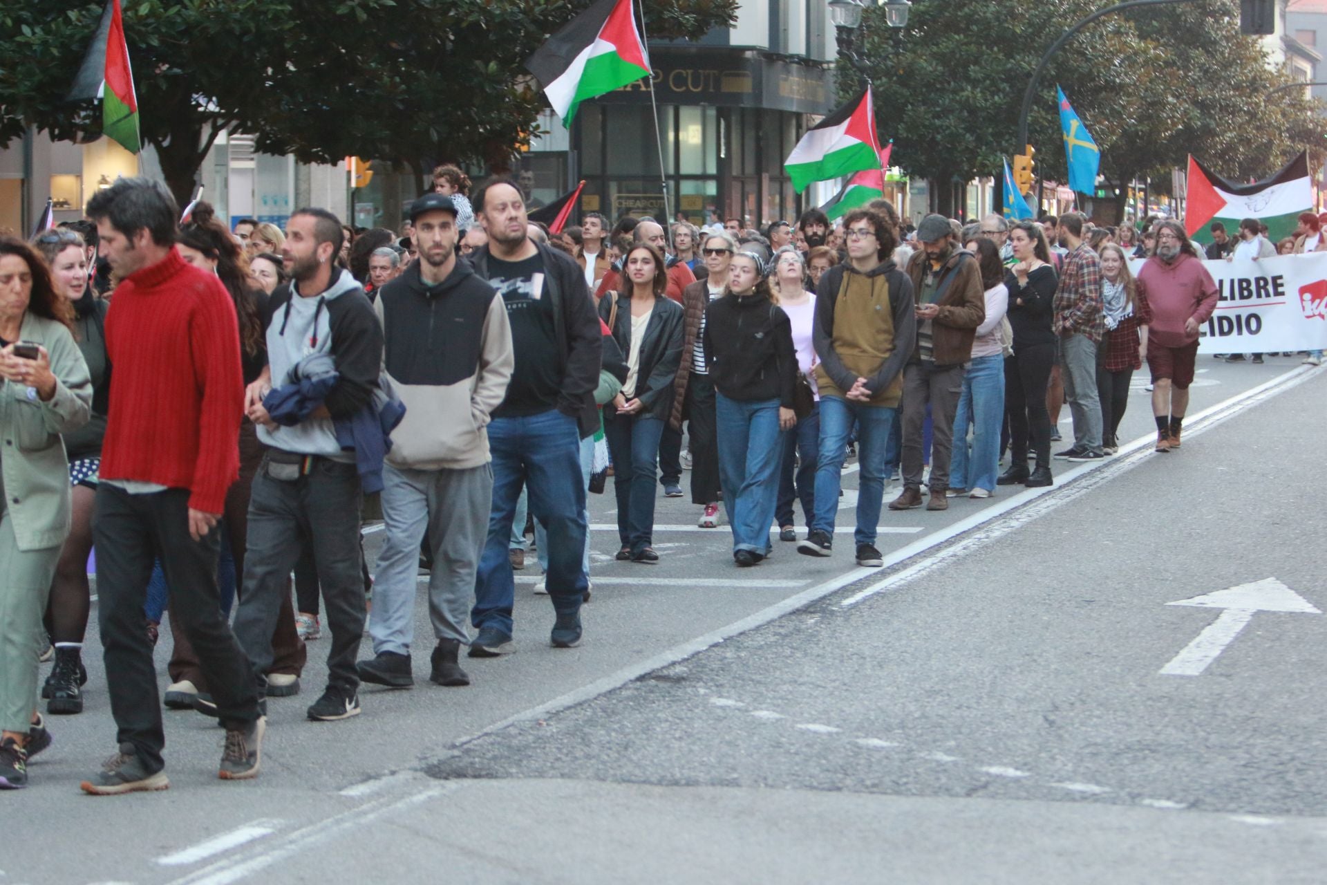 Manifestaciones en Asturias en defensa de Palestina