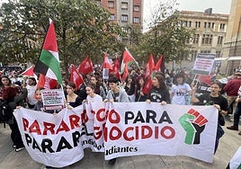 Manifestaciones en Asturias en apoyo al pueblo palestino y en protesta contra el «genocidio en Gaza»